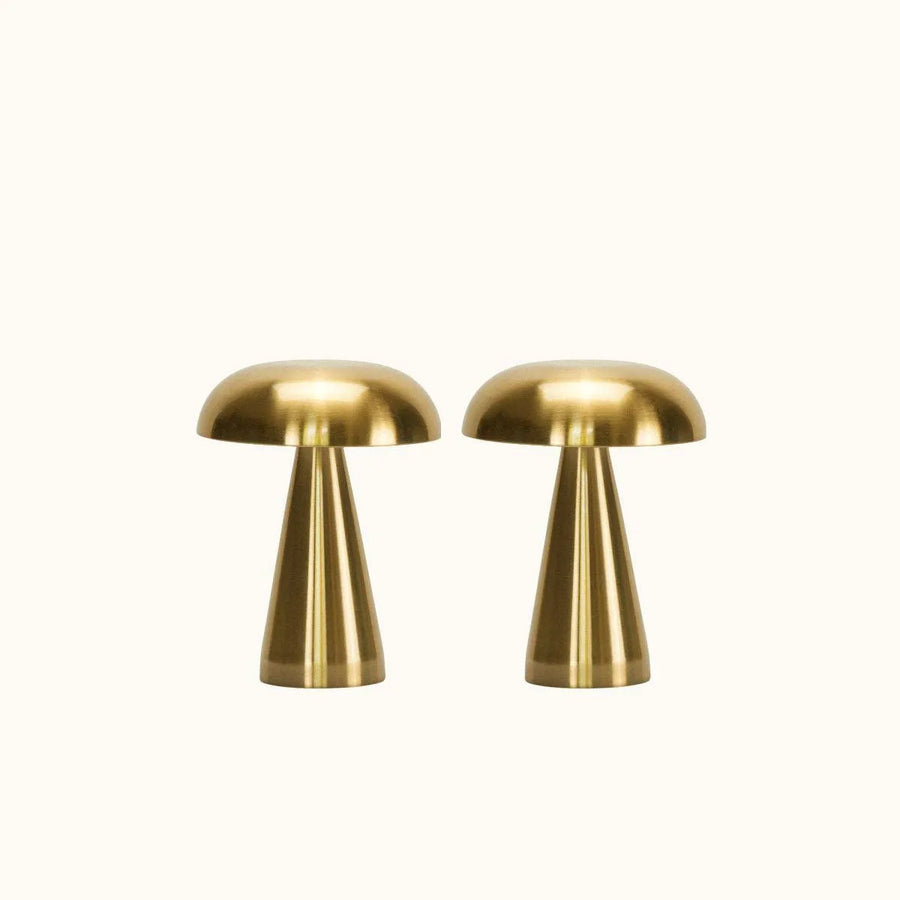 cordless lamp duo - portable brass set - Dennis Did It