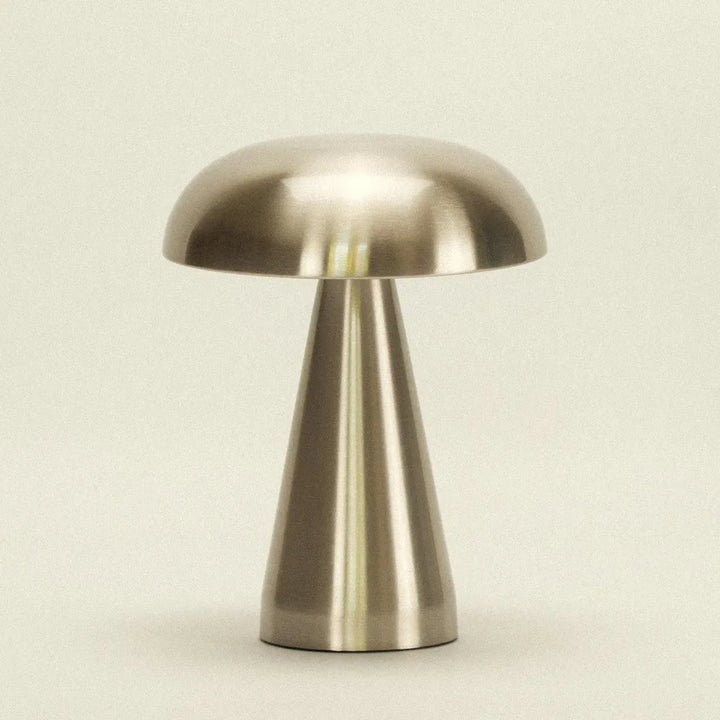 portable lamp and ceramic dish dinner party bundle - Dennis Did It