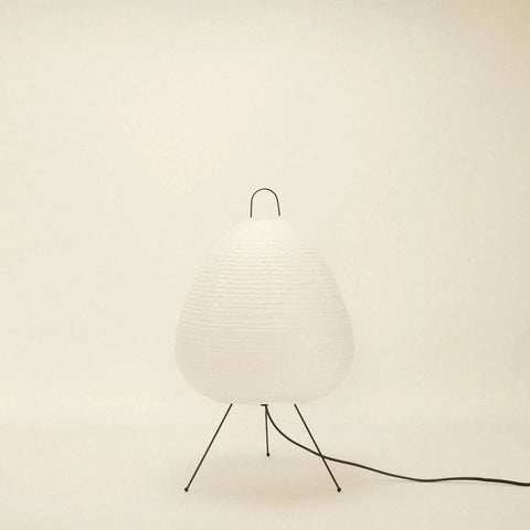 Absolutely Necessary Lamp-Dennis Did It