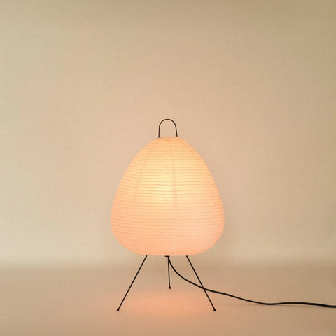 Absolutely Necessary Lamp-Dennis Did It