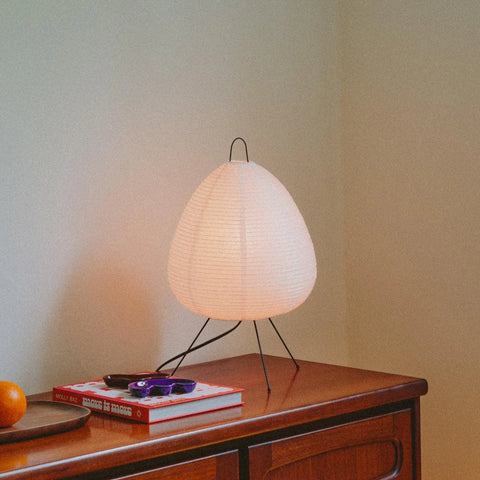 Absolutely Necessary Lamp-Dennis Did It
