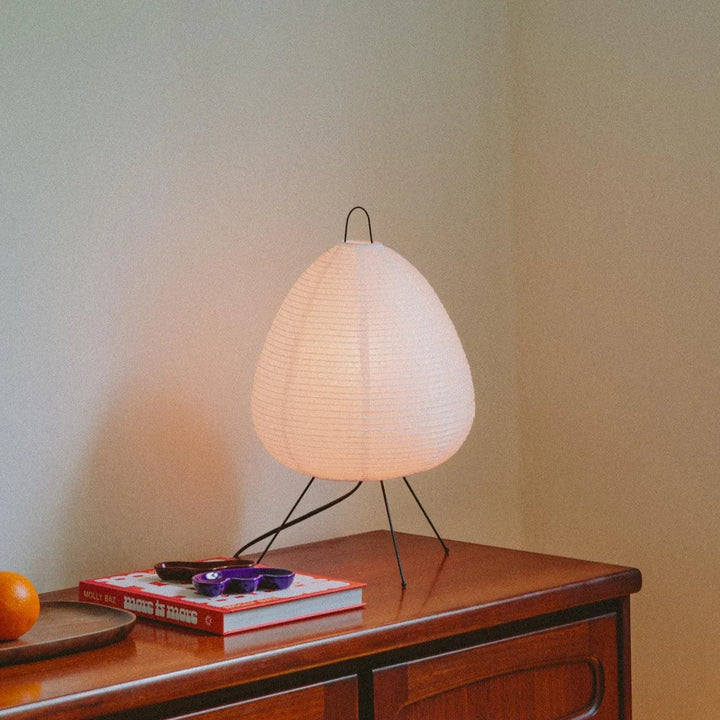 Absolutely Necessary Lamp-Dennis Did It