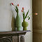 Bold Lighting and Unique Homewares