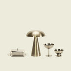 portable lamp and ceramic dish dinner party bundle - Dennis Did It