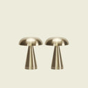Aluminium Lamp Duo-Dennis Did It