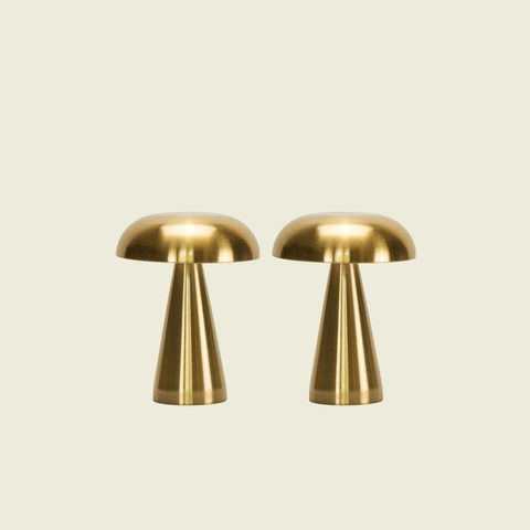 Brassy Gold Lamp Duo