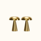 cordless lamp duo - portable brass set - Dennis Did It
