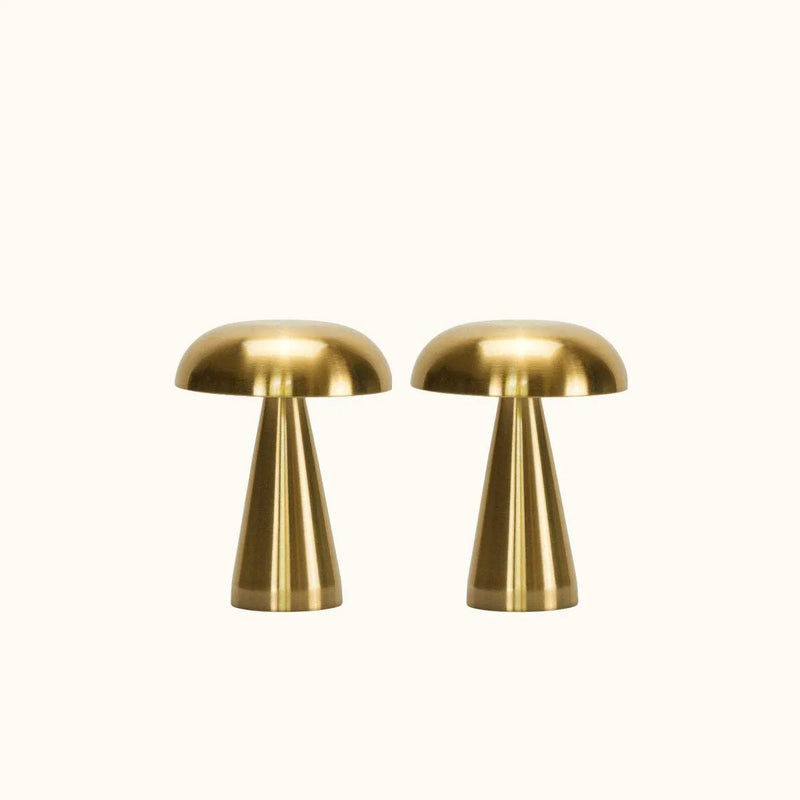 cordless lamp duo - portable brass set - Dennis Did It