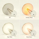 Portable Metal Touch Lamp | Brassy Gold-Dennis Did It