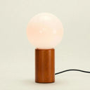 Tube Lamp-Dennis Did It