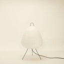 Absolutely Necessary Lamp-Dennis Did It