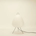 Absolutely Necessary Lamp-Dennis Did It