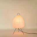 Absolutely Necessary Lamp-Dennis Did It