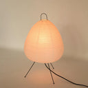 Absolutely Necessary Lamp-Dennis Did It