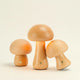 Timber Mushie Lamp | Beech | Regular