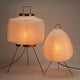 Boxy + Absolutely Necessary Lamp Bundle