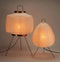 Bold Lighting and Unique Homewares