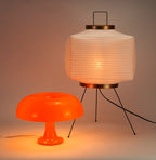 square floor lamp and blood orange ceramic lamp bundle - Dennis Did It