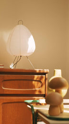 Absolutely Necessary Lamp-Dennis Did It