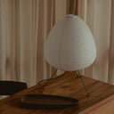Absolutely Necessary Lamp-Dennis Did It
