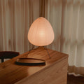 Rice Paper Lamps