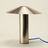 Hoist Lamp | Brushed Metal (Ships Late July)