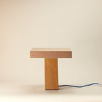 Trunk Lamp | Dirt-Dennis Did It