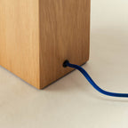Trunk Lamp | Dirt-Dennis Did It