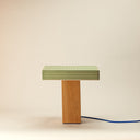 Trunk Lamp | Grass-Dennis Did It