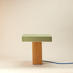 Trunk Lamp | Grass-Dennis Did It