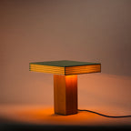 Trunk Lamp | Grass-Dennis Did It