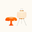 square floor lamp and blood orange ceramic lamp bundle - Dennis Did It
