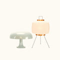 Boxy + Puffball Snow White Lamp Bundle