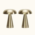 Aluminium Lamp Duo | Ships Late Oct